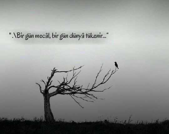 Bizi öldürmeyen şey gerçekten güçlendirir mi?