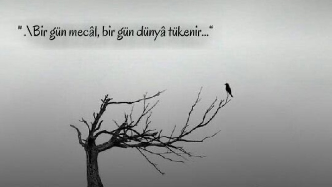 Bizi öldürmeyen şey gerçekten güçlendirir mi?