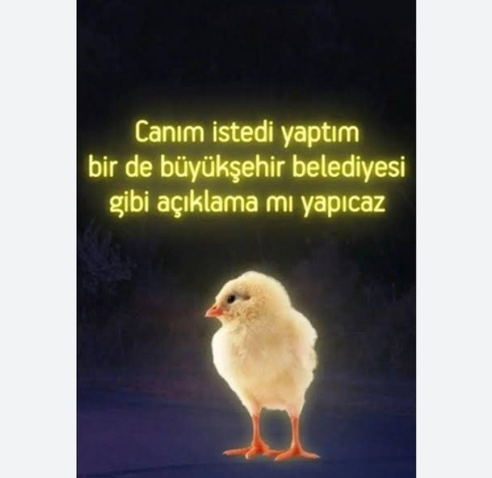 Kendini nasıl motive ediyorsun?
