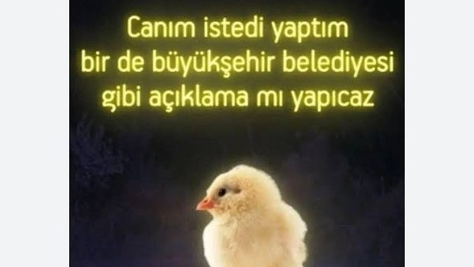 Kendini nasıl motive ediyorsun?
