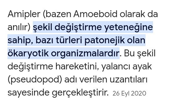 KScanlar Amip ne demektir? Kime denir?