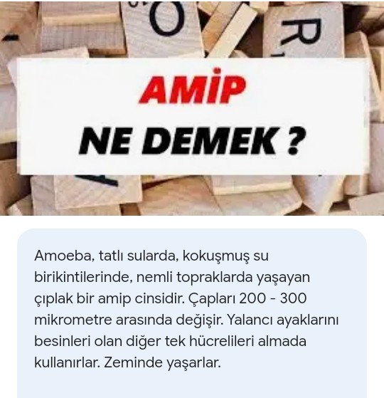 KScanlar Amip ne demektir? Kime denir?