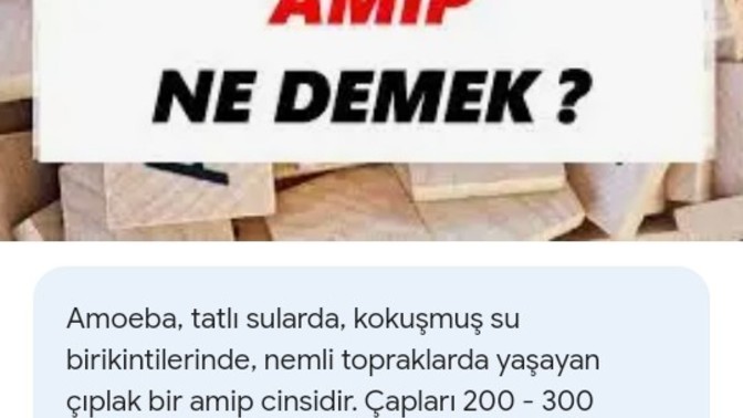 KS'canlar Amip ne demektir? Kime denir?