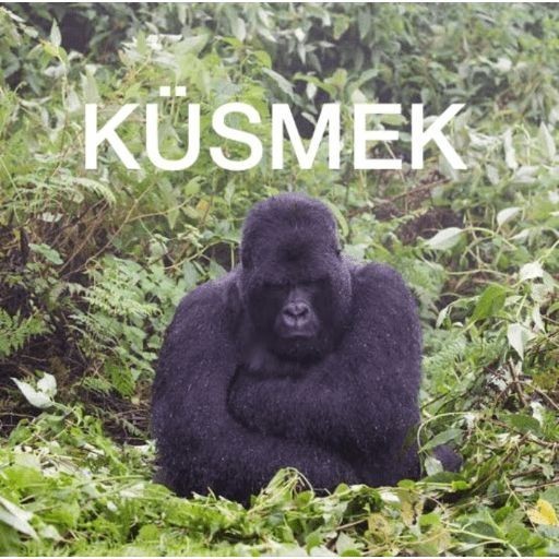 Sticker kullanıyor musun?