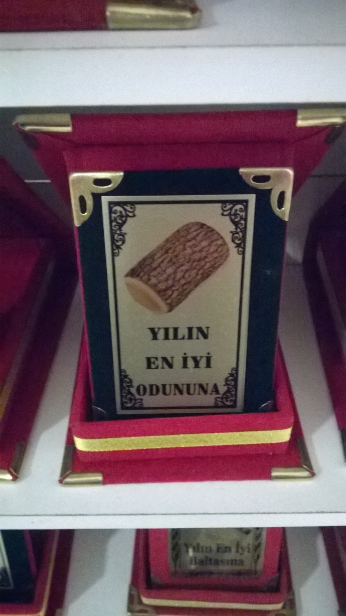 Sizce ben yılın neyi olurum?