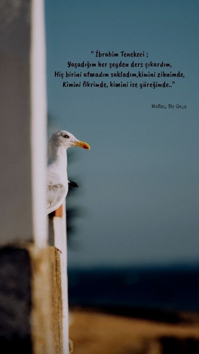 Ülkece ekonomik olarak zorlandığımız zamanlardabunu firsata çeviren fırsatçılar?