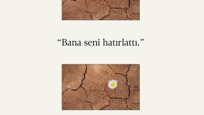 Bir Kız Bunu Paylaşarak Ne Demek İstemis. ?