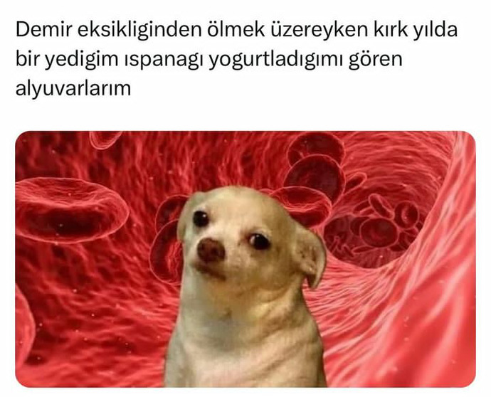 En son ne zaman kan tahlili yaptırdınız?