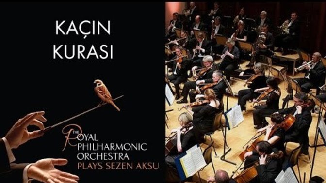 Şu anki ruh halinizi hangi müzik yansıtıyor?