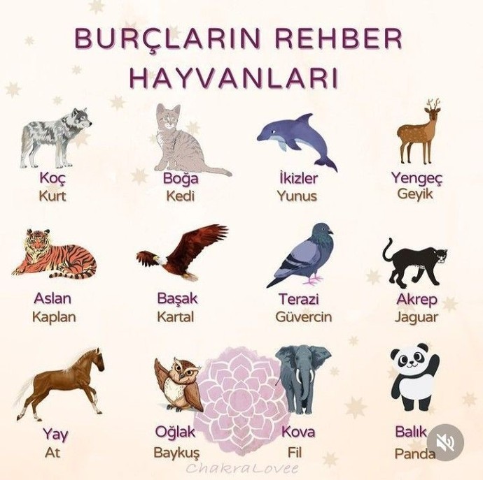 Burcunuza göre rehber hayvanınız hangisi?