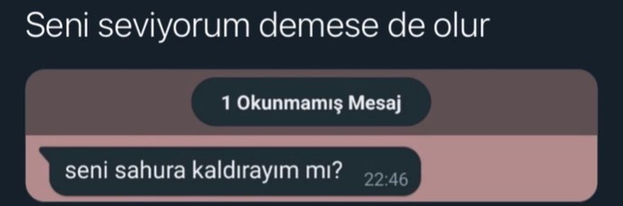 Seni seviyorum demeden nasıl seni seviyorum dersin?