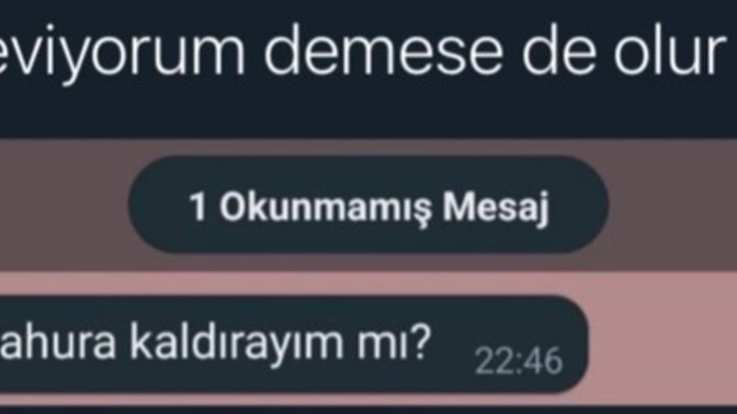 Seni seviyorum demeden nasıl seni seviyorum dersin?