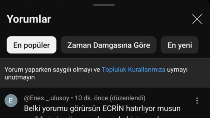 Şarkı dinlerken bu yorumla karşılaştım ne düşünüyorsunuz?