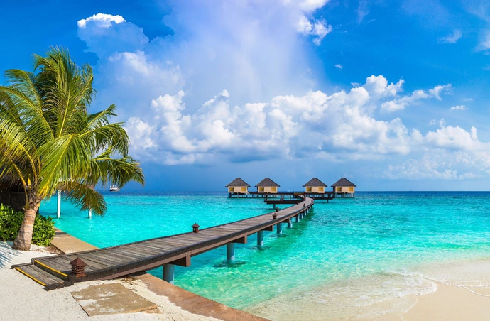🏝️