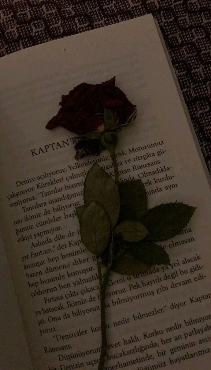 Sizce bir insana en çok yakışan şey nedir?