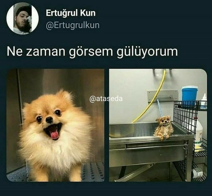 Sizi kahkahaya boğacak şeyler kaldı mı?