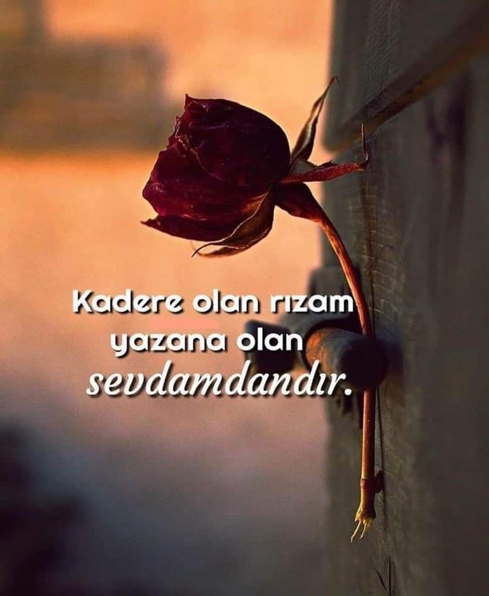 Evlilik dışı çocuk neden ve ne sebeple olur?