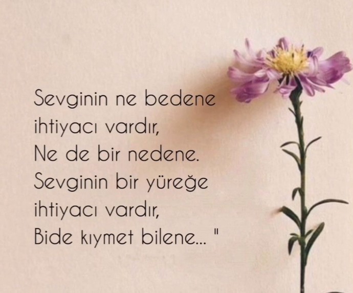 İnsanın hayatının sınavı ailesi midir, en sevdiğim dediği mi?