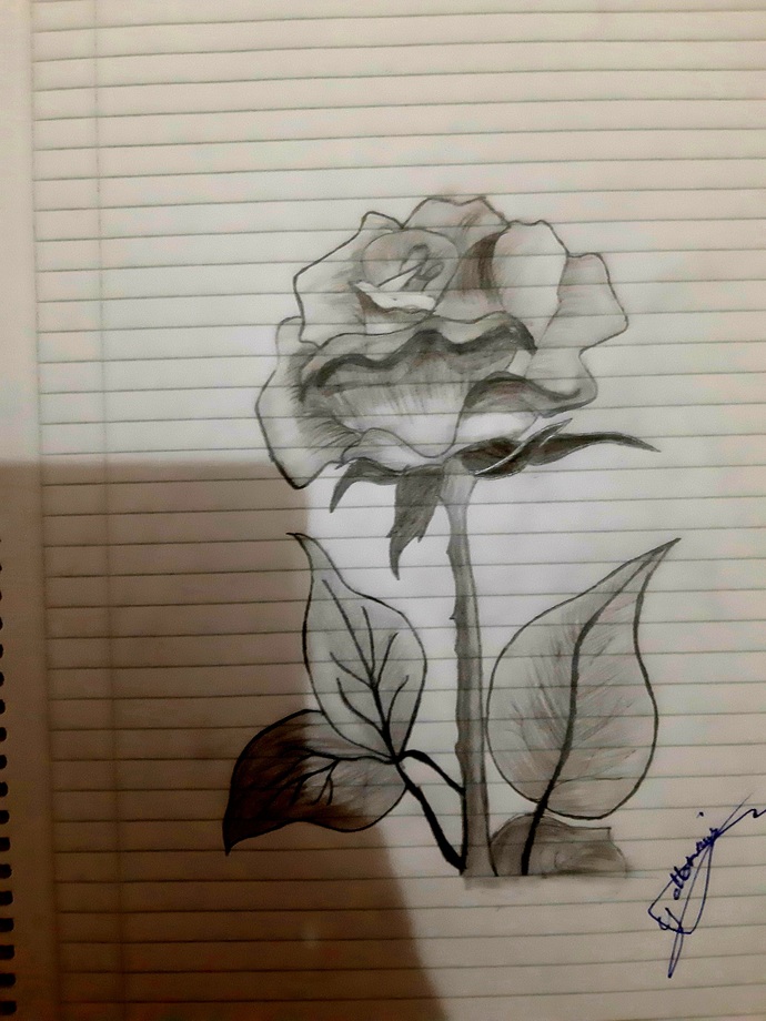 Siz en son ne zaman resim ya da  karakalem çizimleri yaptınız Ve kısa bir söz bırakır mısın duygusal olsun 😌🤗🤗🤗😃🙃?
