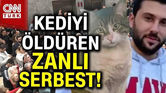Erdoğan ın Kedilerle Bir Sorunumu Var ?