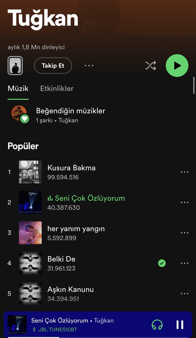 Hangi sarkiyi dinliyorsunuzz?