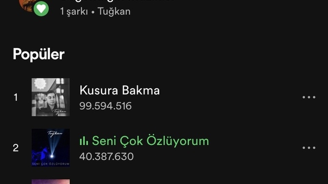 Hangi sarkiyi dinliyorsunuzz?