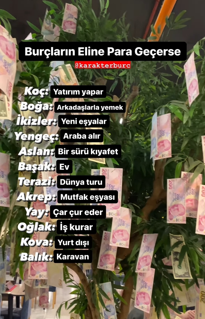 Sizin burcunuzun eline para geçse ne yapar?