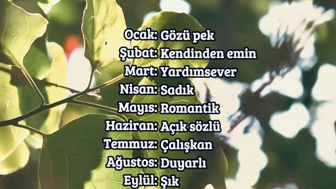 Doğduğun aya göre nasıl birisin?