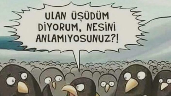 İnsanlar seni anlıyor mu?