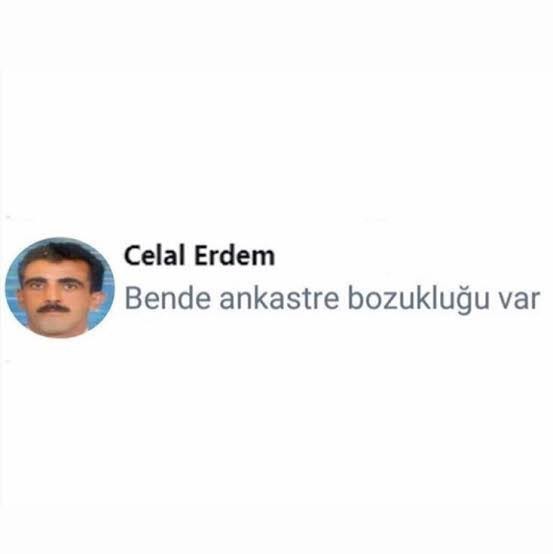 Bilerek yapılan yazım hatalarına sinir oluyor musunuz?