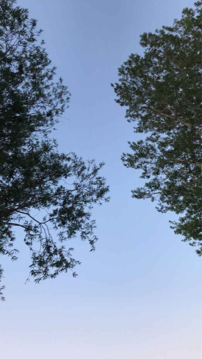 Grip olucam gibi olmadan ne iyi gelir?