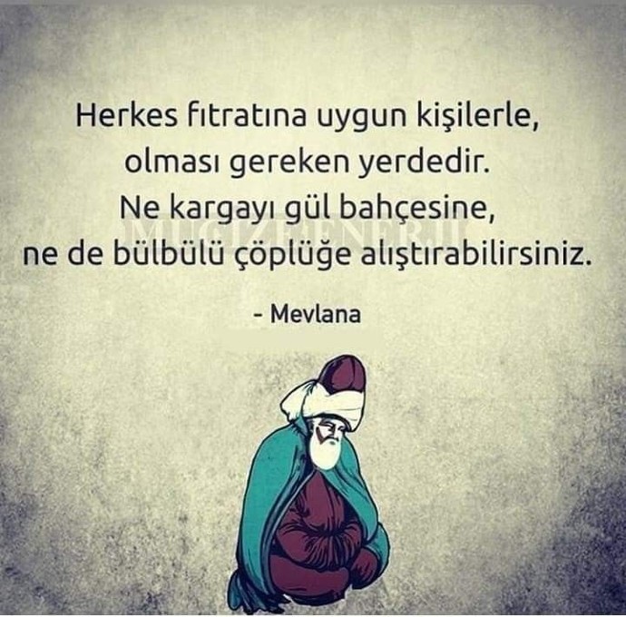 Kendinizi nereye ait hissediyorsunuz?