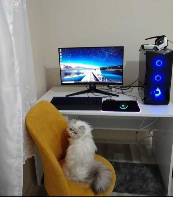 Bu evde kiminle vakit geçirmek isterdin?