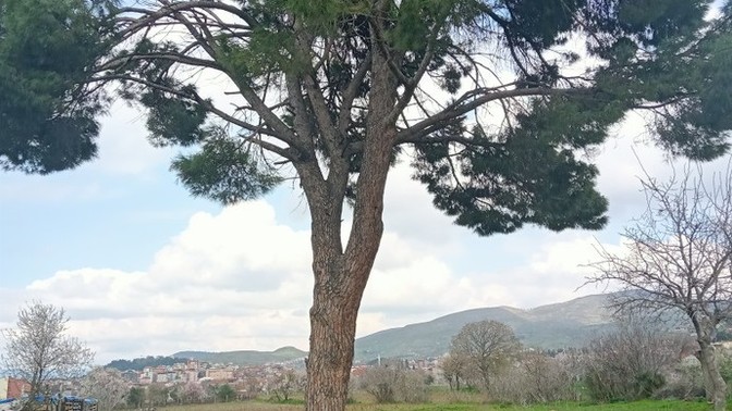 Çocukluğunuza dair hatırladığını görsel ne?