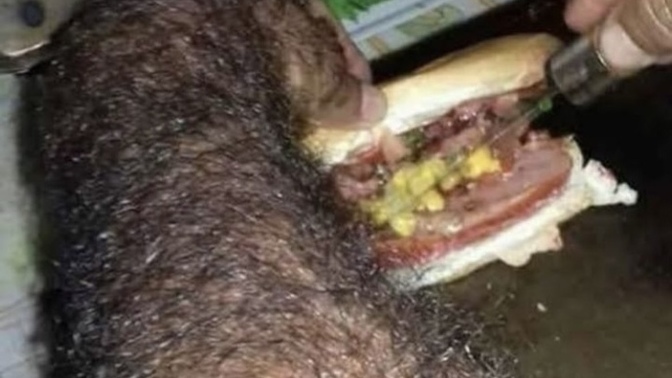 Herkes oruçlu mu arkadaşlar?