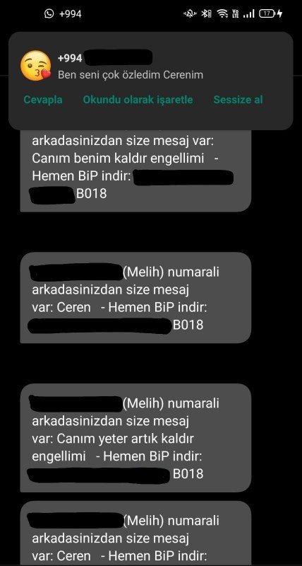 Giden neden it gibi geri dönüyor?