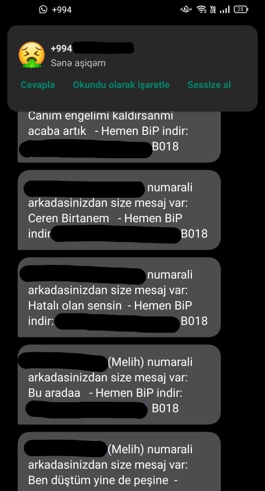 Giden neden it gibi geri dönüyor?