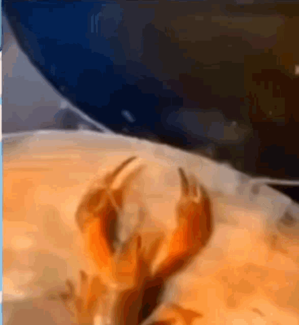 Kantoran yağı ameliyat izimi geçirir mi ya da krem önerisi?