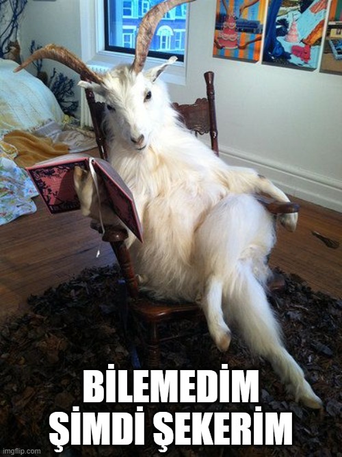 Koç burcu erkeği sana ne ifade ediyor?