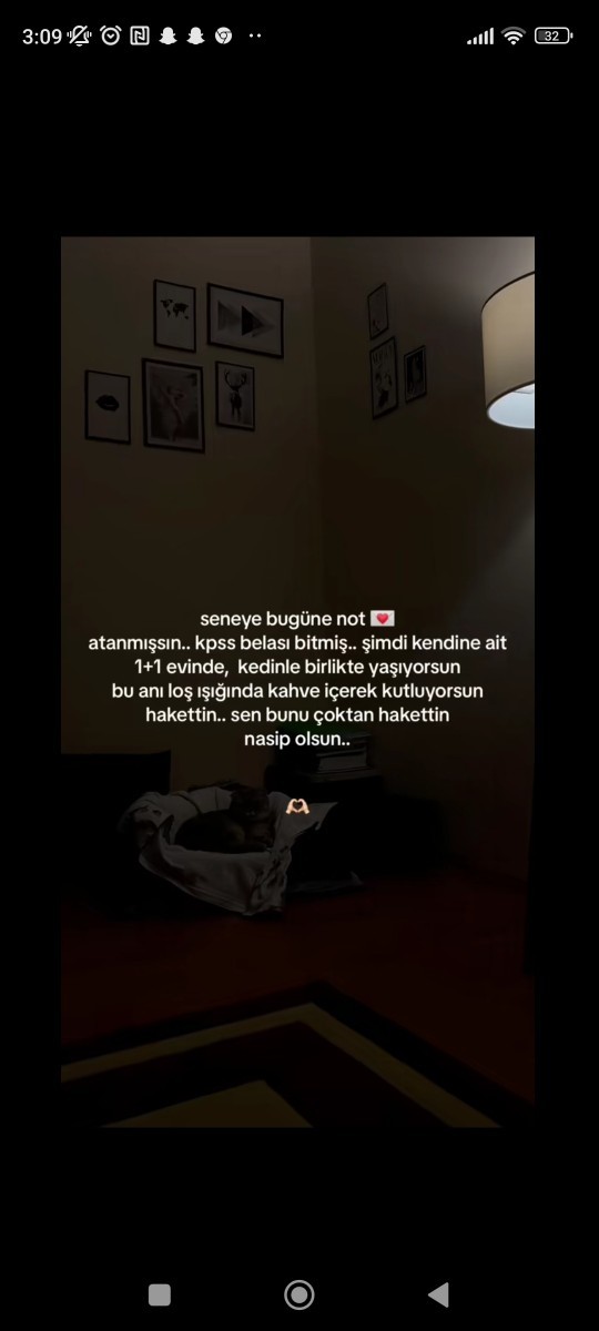 En son aldığın ekran görüntüsünü duvar kağıdı yapacak olsaydım neyi duvar kağıdım yapardım?