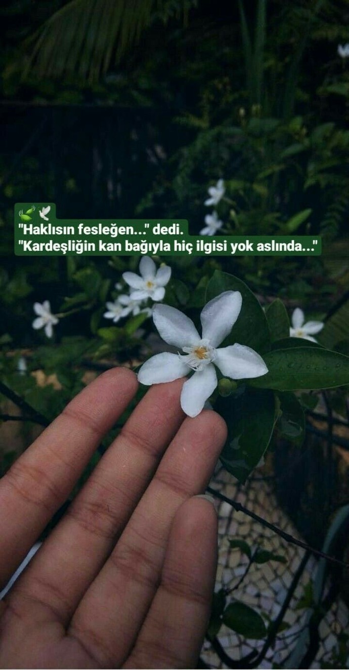 Hiç düşündün mü, ben etrafıma nasıl kişileri topluyorum diye?