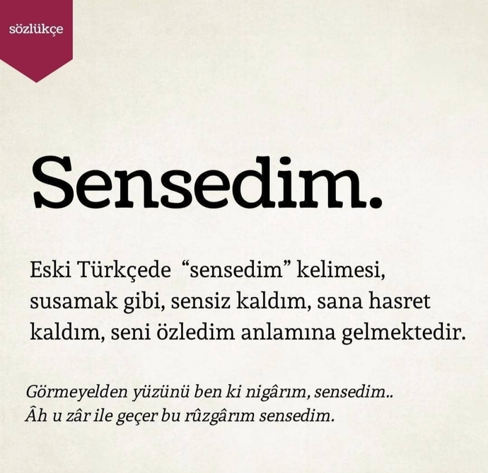 Seni seviyorum demeden sevdiğinizi söyleyebilir misiniz?