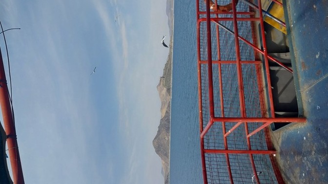 Tunceli Pertekten selam naber?