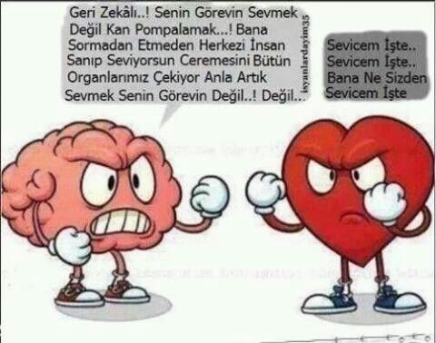 En çok kalbine mi yoksa aklına mı danışıyorsun?