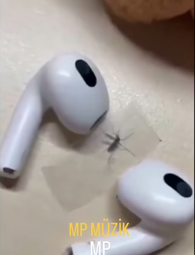 İntikam alır mısınız, görsel doğru mu sizce?