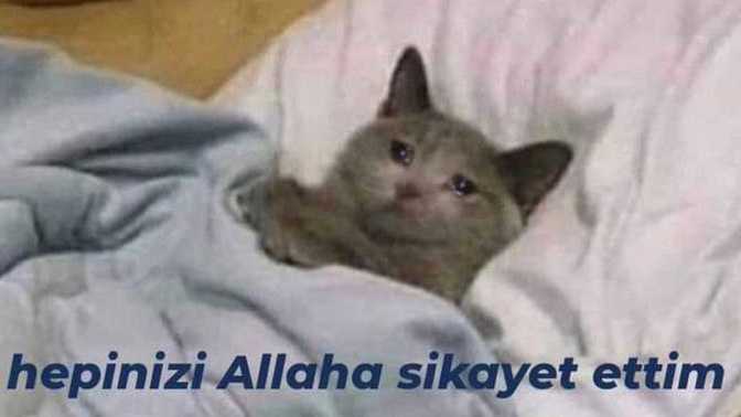 Modunuz kolay değişir mi?