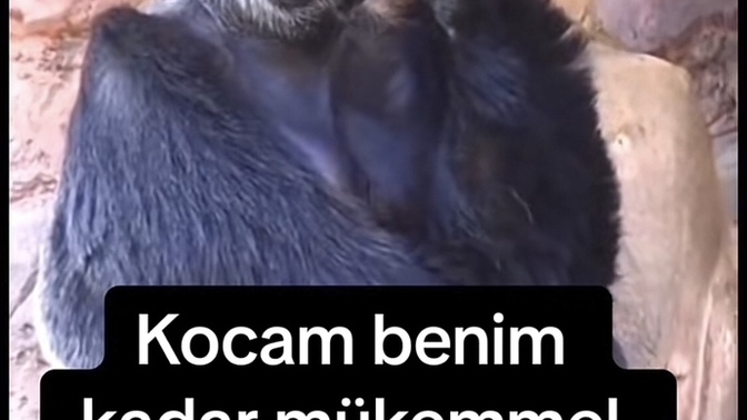 Eşinizin/sevgilinizin sizi hakettiğini, sizin onu hakettiğinizi düşünüyor musunuz?