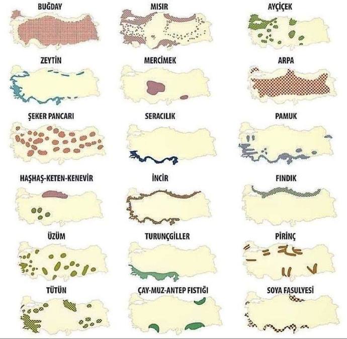 Sizce ülkemiz düzelir mi?