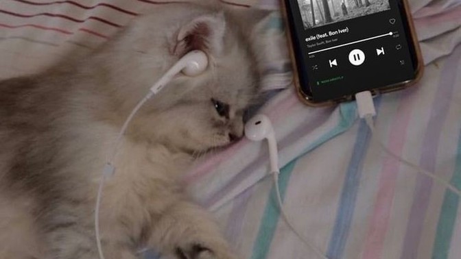 Gece düşünürken canınızı acıtan şeyler var mı?