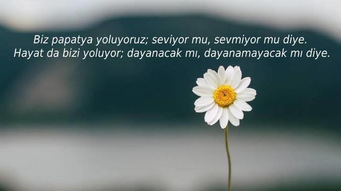 Bir reklam panonuz olsaydı, ne yazmak isterdiniz?